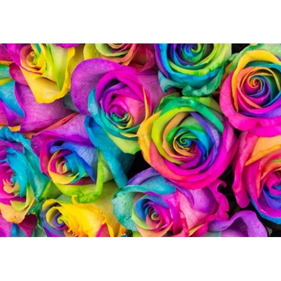 Two Dozen Rainbow Rose Bouquet
